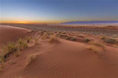 Kalahari Wüste_Sonnenuntergang